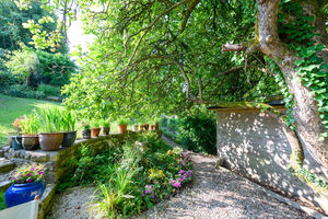 Garden- click for photo gallery